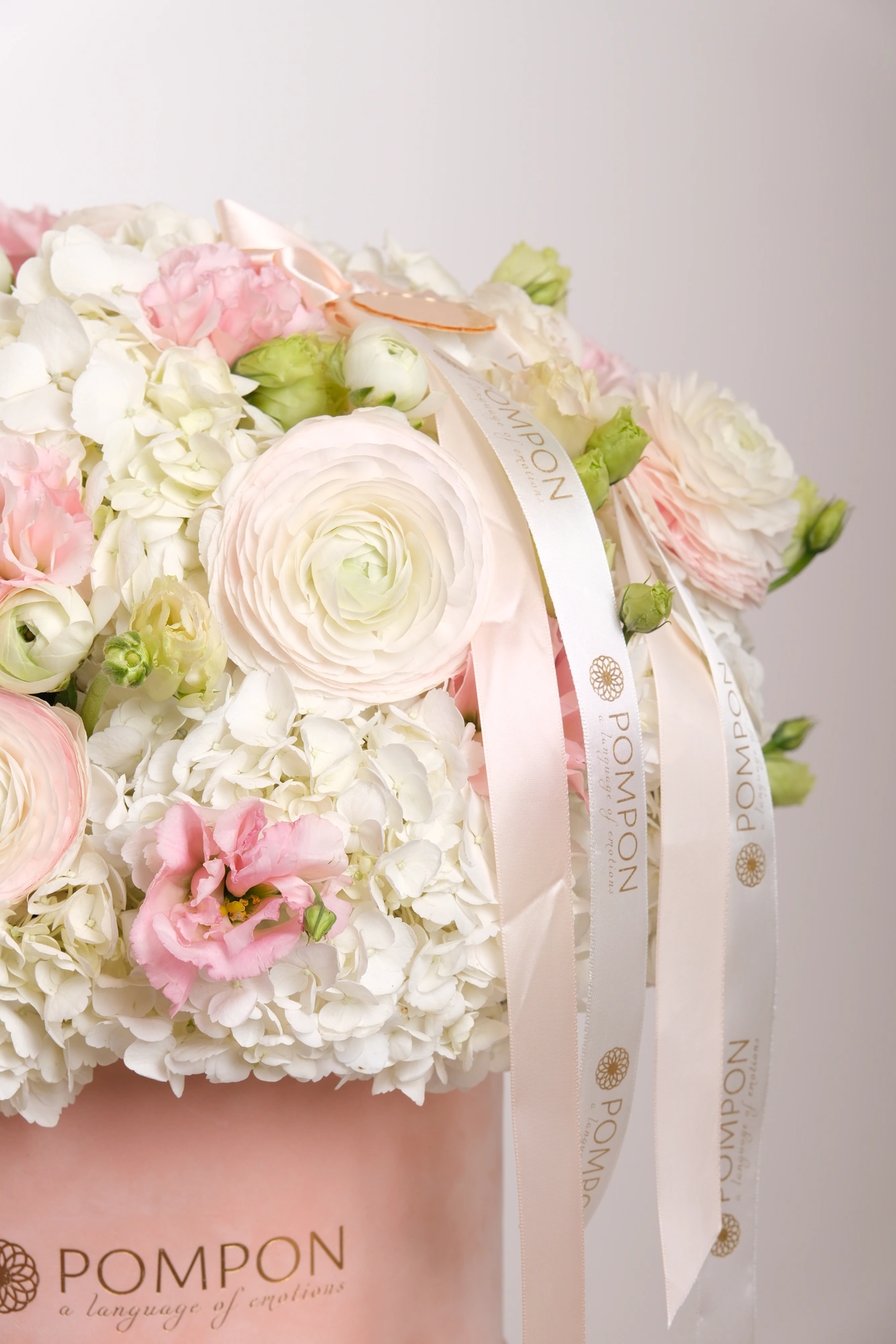 Blush Harmony