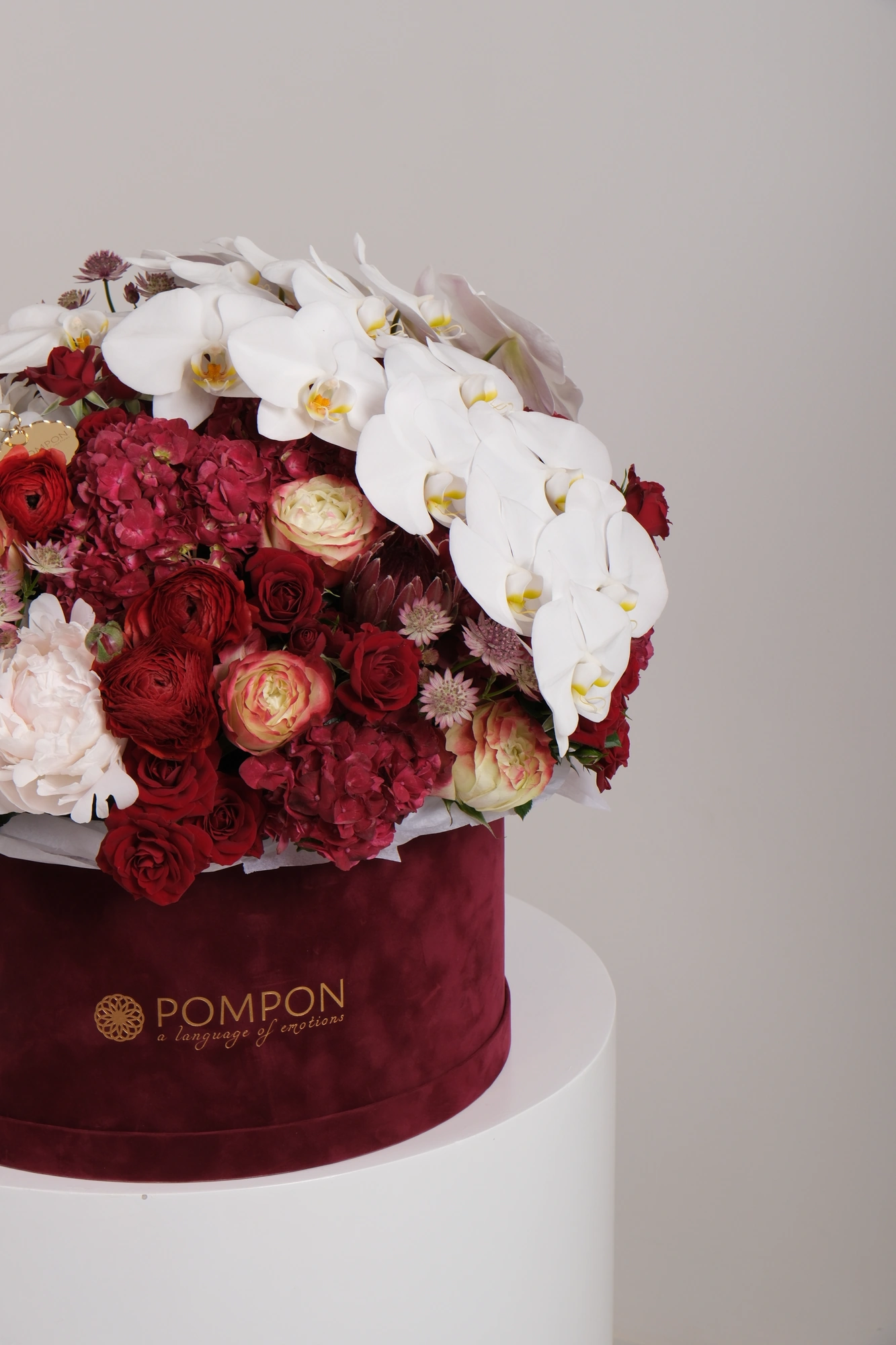 Burgundy Bloom