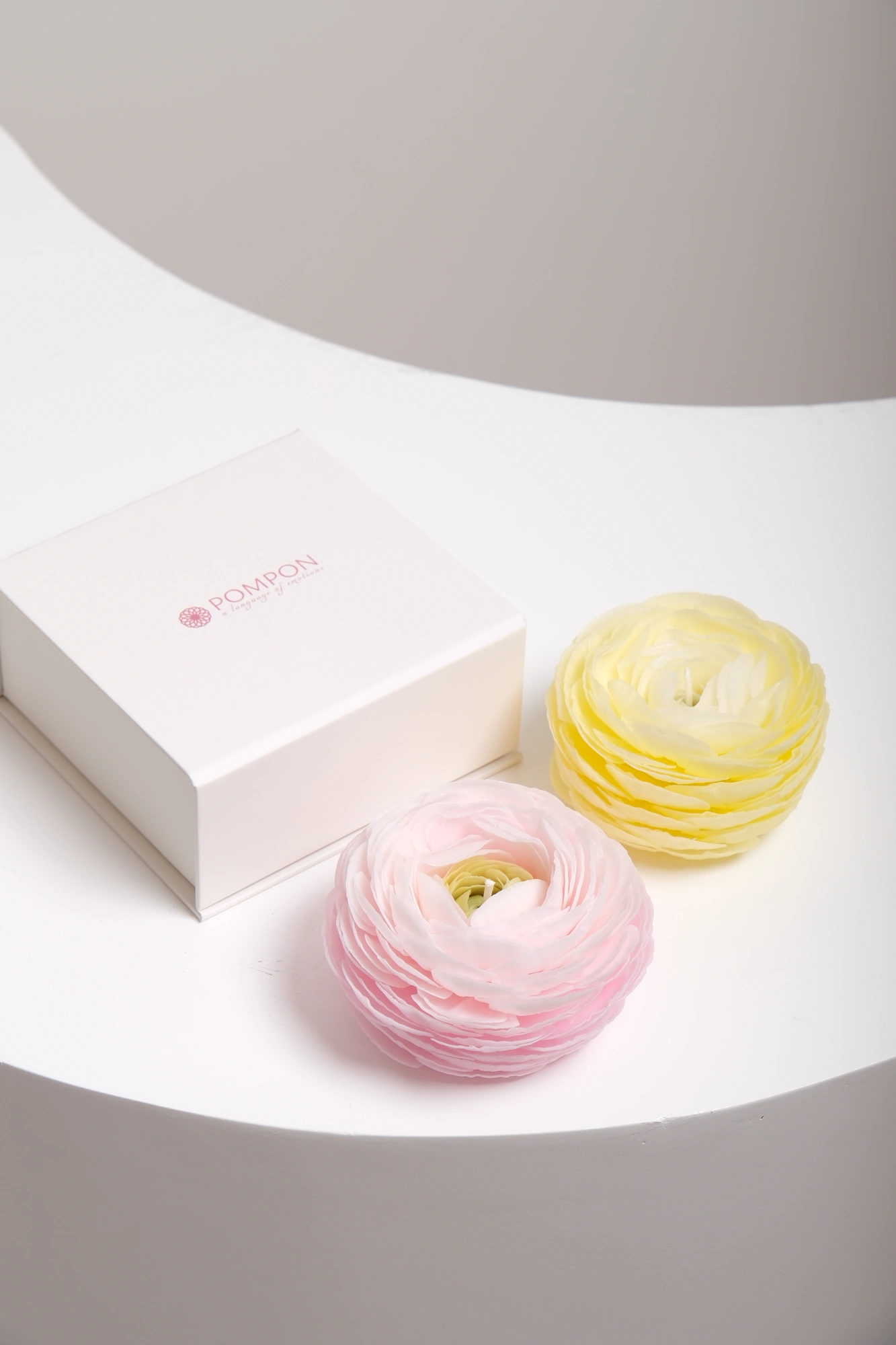 Candle Ranunculus