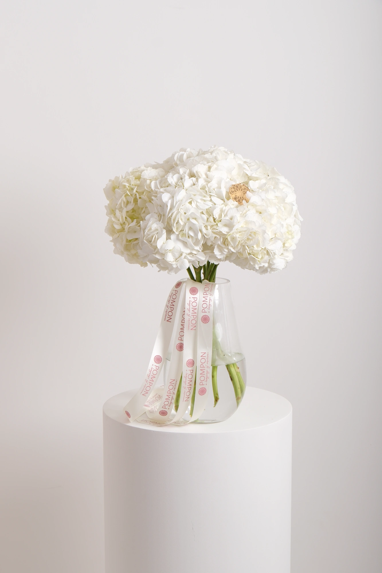 Hydrangea