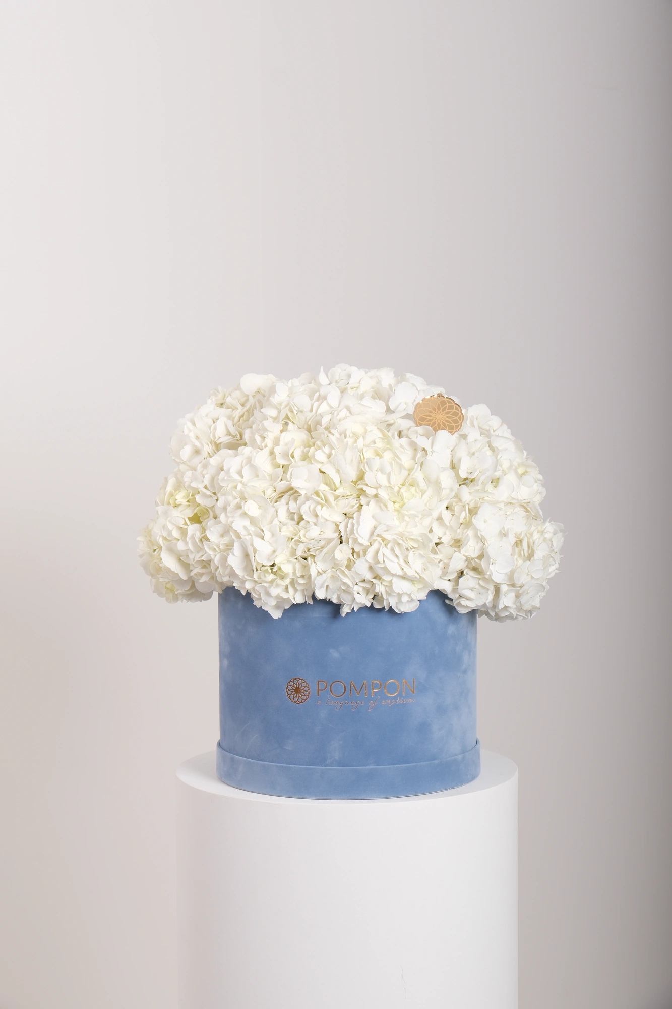 Ivory Cloud