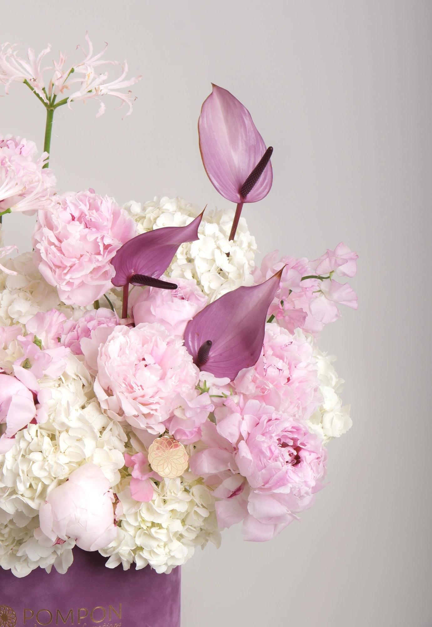 Violet Bloom